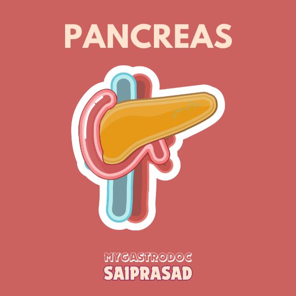 Diseases in Pancrease - Dr. Saiprasad Lad - Best Gastroenterologist in Mumbai